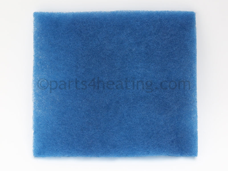 Raypak Filter - Part Number: 008403F