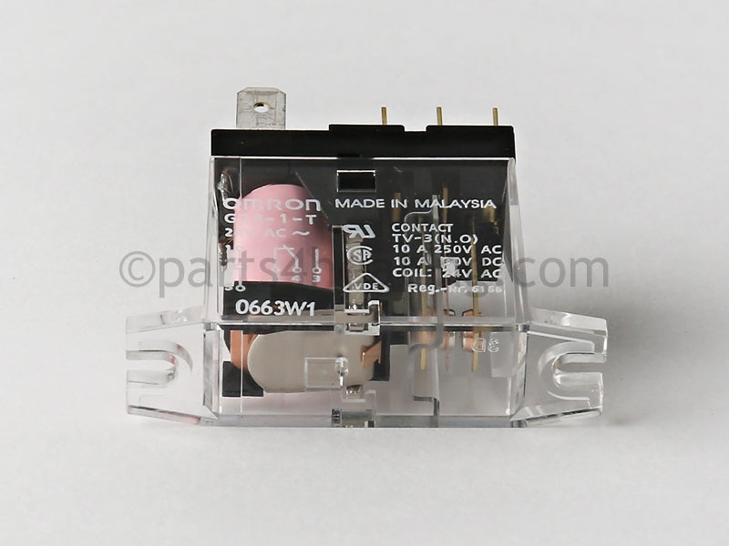 Raypak Relay Spdt 24 Vac (Enable/Disable) - Part Number: 009039F