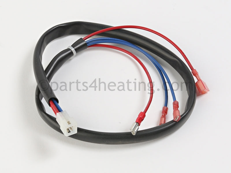 Bradford White Wire Harness-Thermostat &amp; Eco - Part Number: 239-43291-00