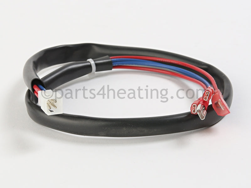 Bradford White Wire Harness-Thermostat &amp; Eco - Part Number: 239-43291-00