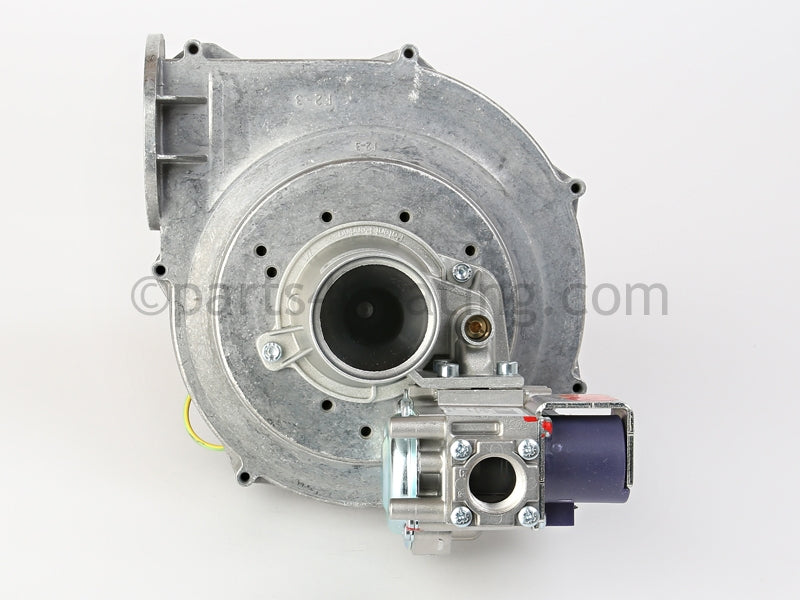 Bradford White Blower And Gas Valve Assy - Part Number: 243-46009-04