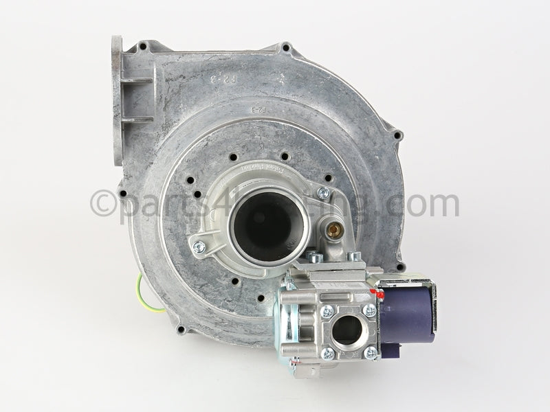 Bradford White Blower And Gas Valve Assy - Part Number: 243-46009-04