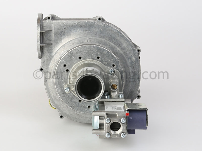 Bradford White Blower With Gas Valve - Part Number: 243-46010-04