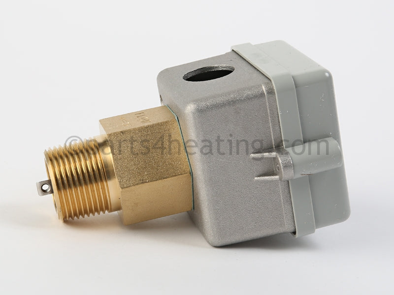 Lochinvar Switch,Flow W/#1 Paddle - Part Number: 100208660